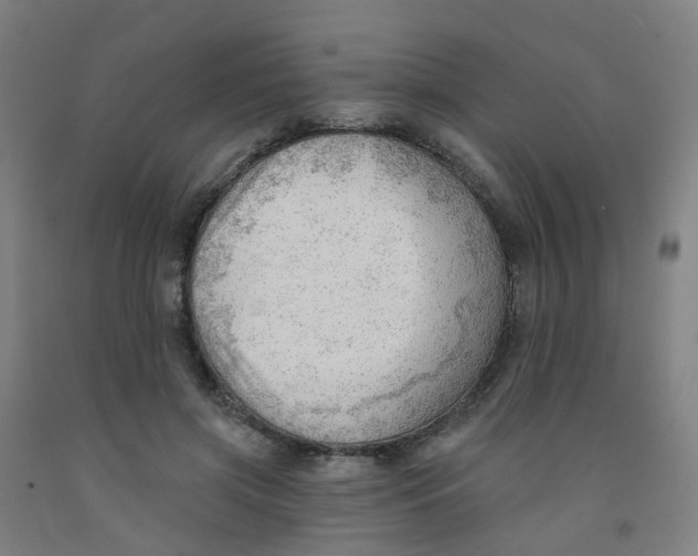 X0000091970549200709271409