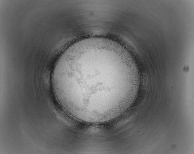 X0000091970550200709271409
