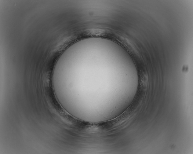 X0000091970551200709271409