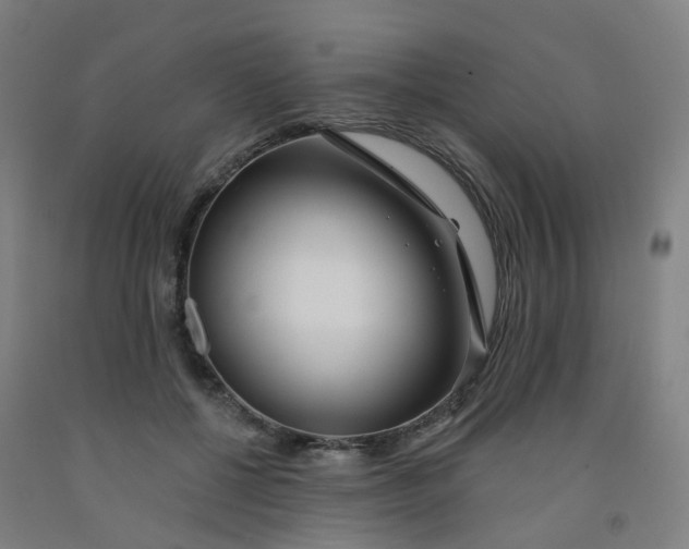 X0000091970552200709271409