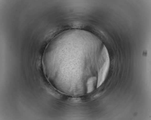 X0000091970554200709271409