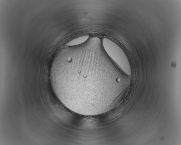 X0000091970557200709271409