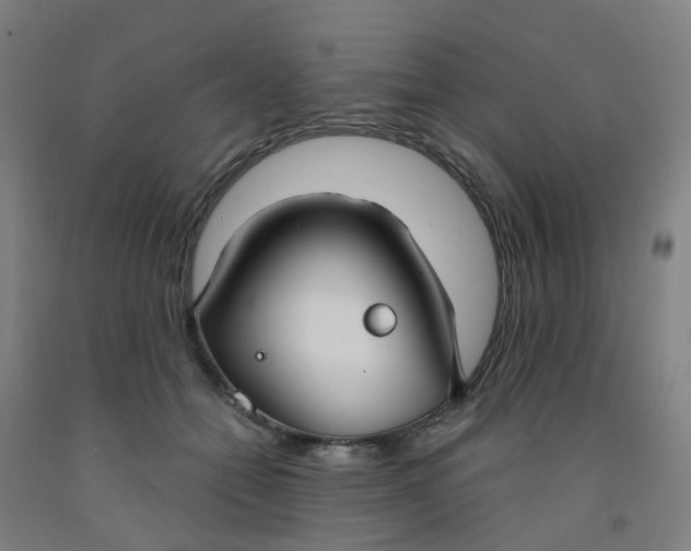 X0000091970558200709271409