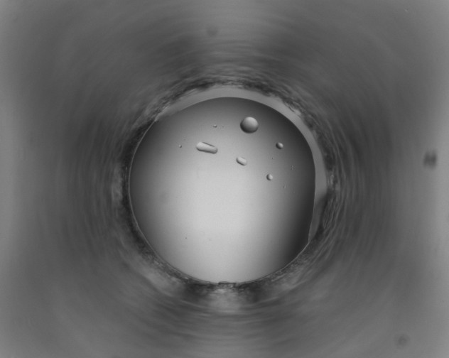 X0000091970562200709271409