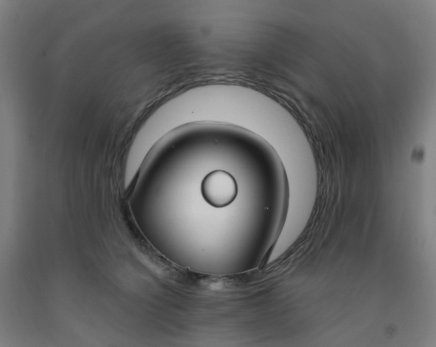 X0000091970564200709271409