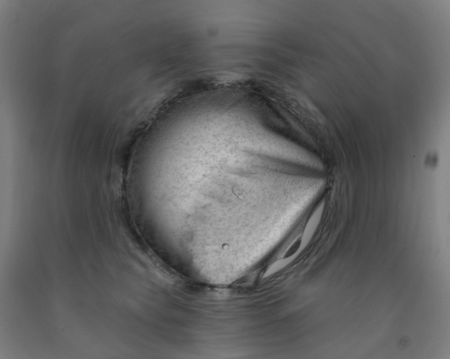 X0000091970565200709271409