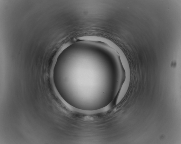 X0000091970566200709271409