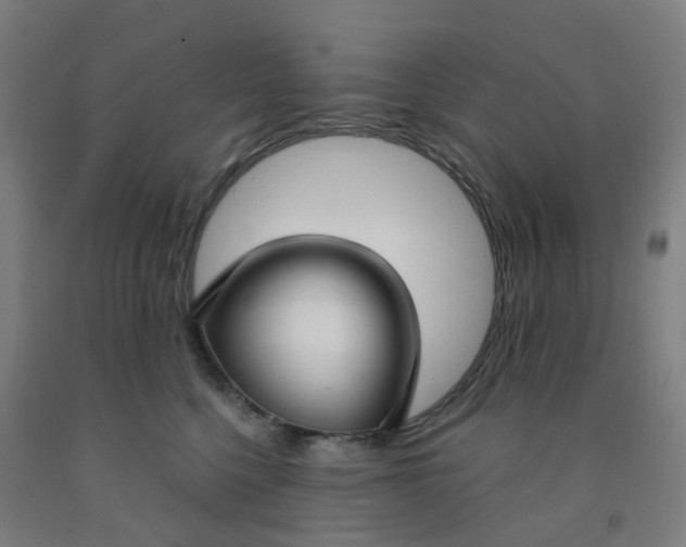 X0000091970568200709271409