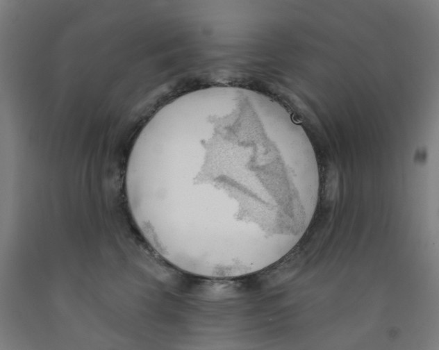 X0000091970569200709271409