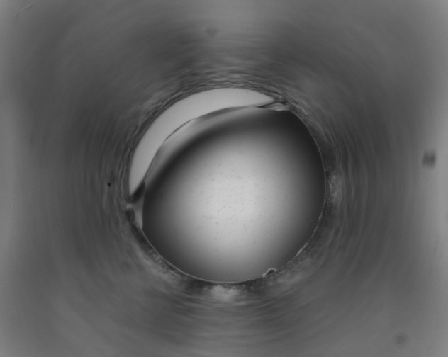 X0000091970570200709271409