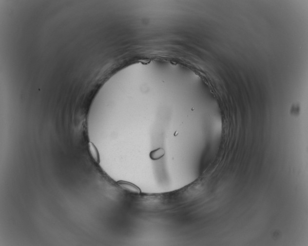 X0000091970574200709271409