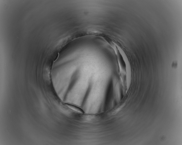 X0000091970575200709271409