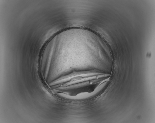 X0000091970578200709271409