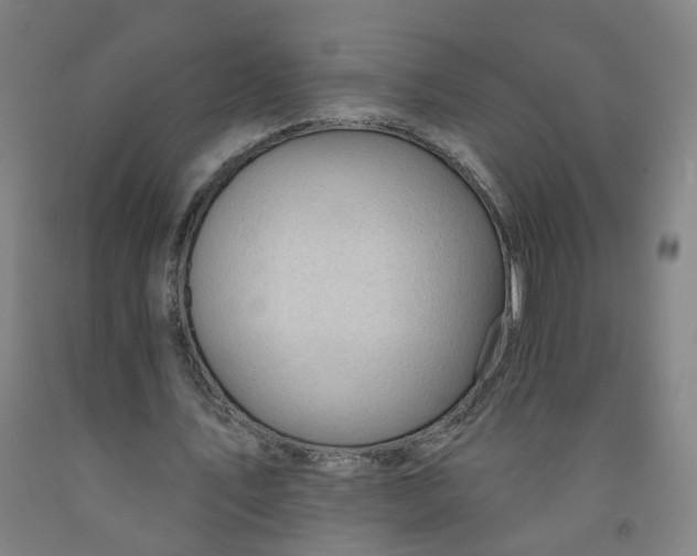 X0000091970579200709271409