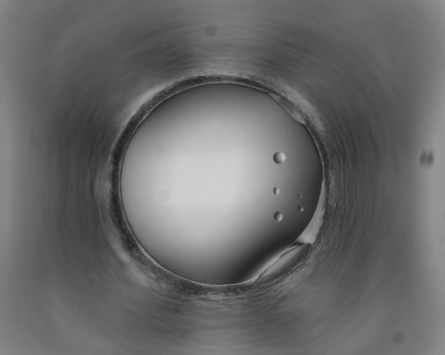 X0000091970580200709271409