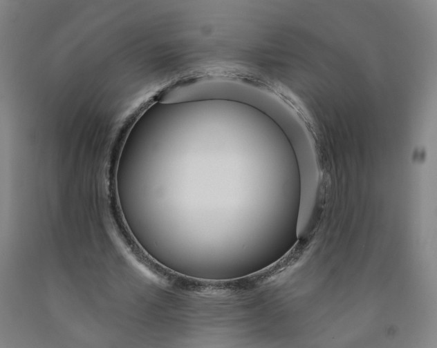 X0000091970581200709271409
