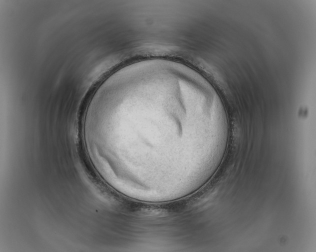 X0000091970582200709271409