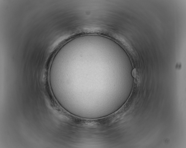 X0000091970583200709271409