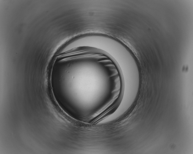X0000091970584200709271409
