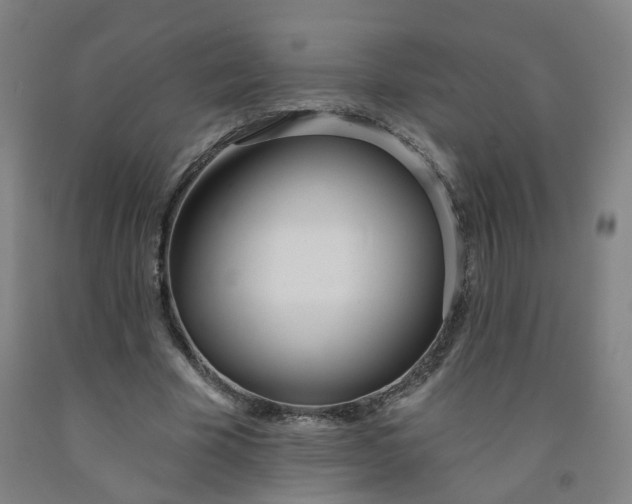 X0000091970585200709271408