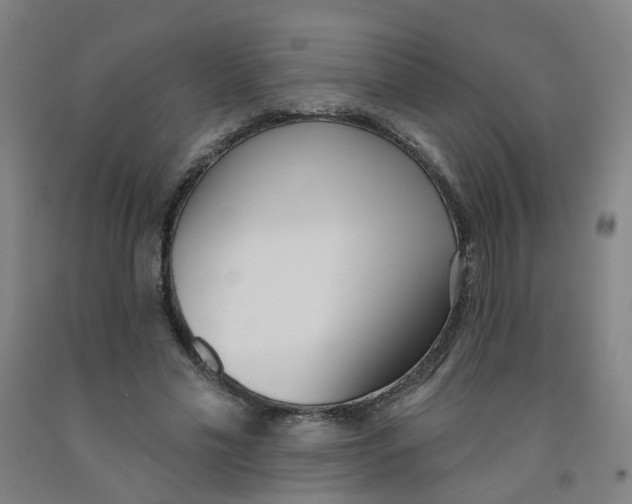 X0000091970589200709271408