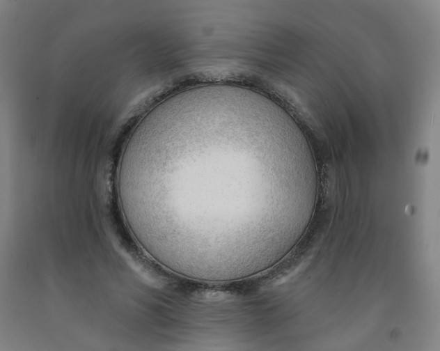 X0000091970590200709271408
