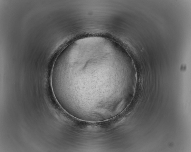 X0000091970591200709271408