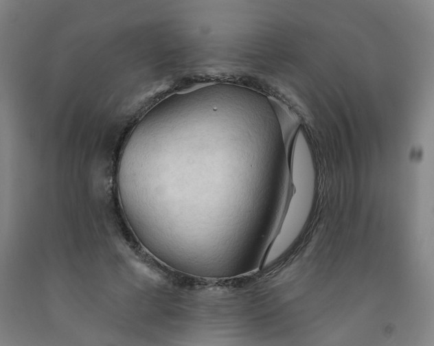 X0000091970593200709271408