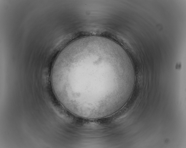 X0000091970594200709271408