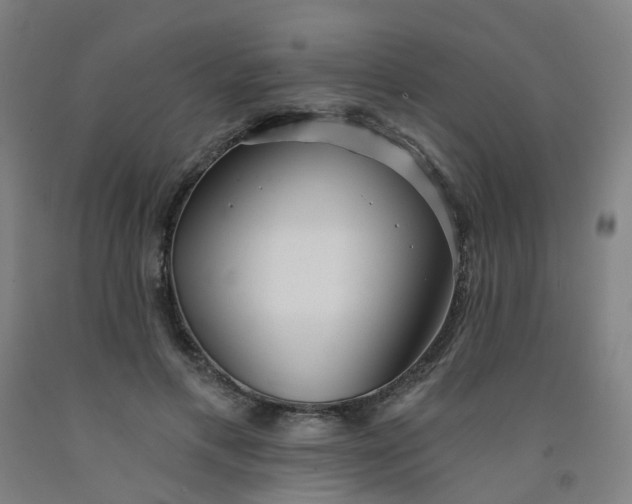 X0000091970597200709271408