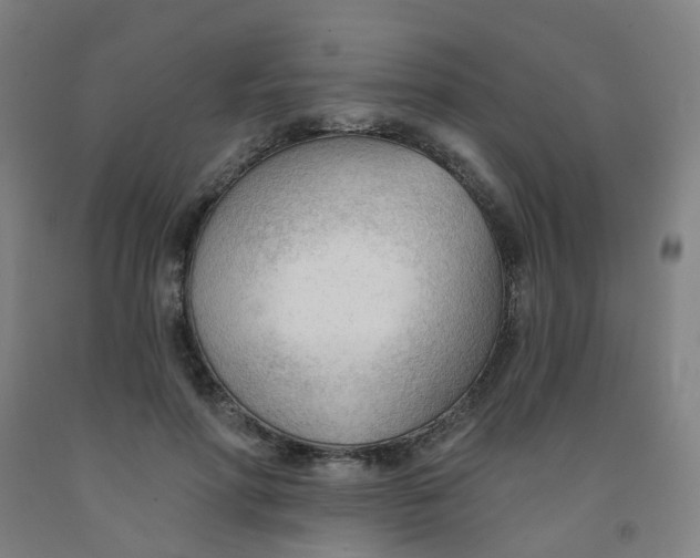 X0000091970598200709271408