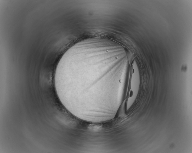 X0000091970602200709271408
