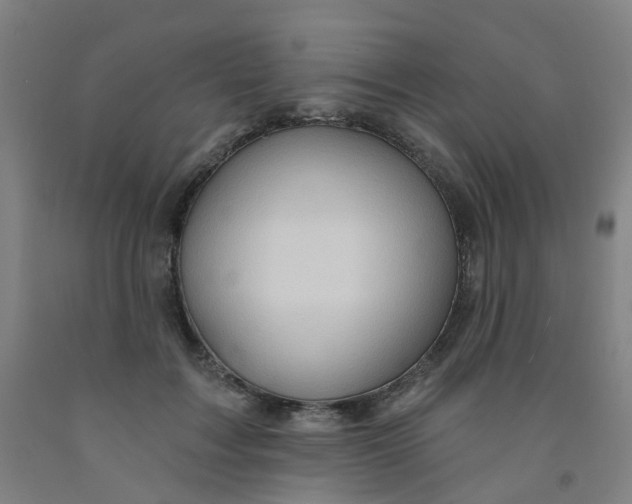 X0000091970603200709271408