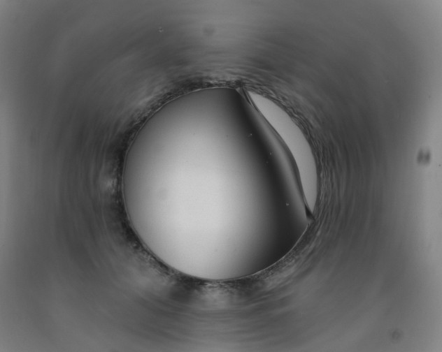 X0000091970608200709271408