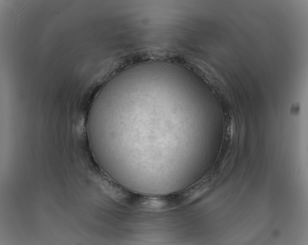 X0000091970610200709271408