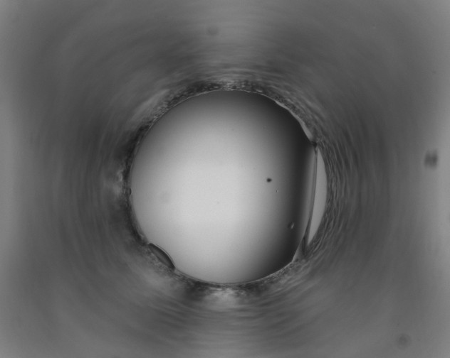 X0000091970611200709271408