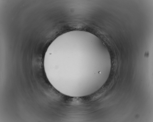 X0000091970612200709271408