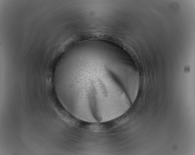 X0000091970615200709271408
