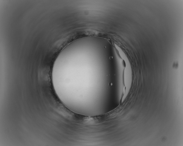 X0000091970616200709271408