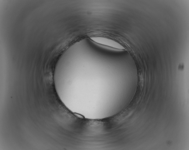 X0000091970617200709271408
