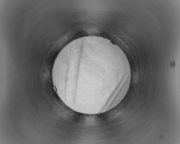 X0000091970618200709271408