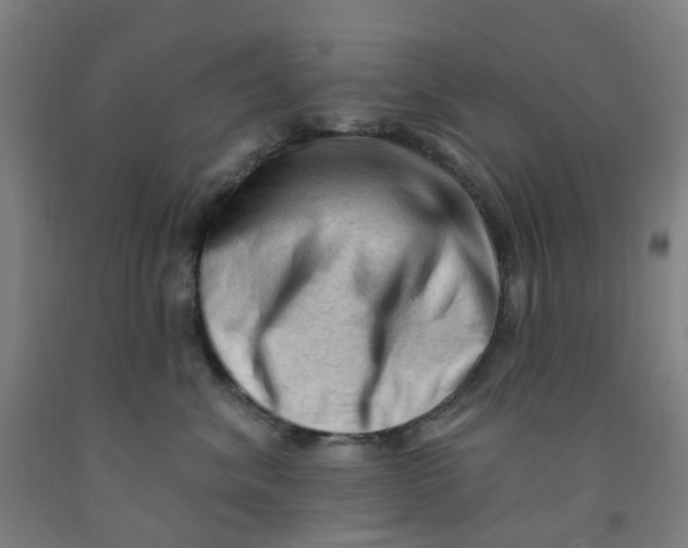 X0000091970620200709271408