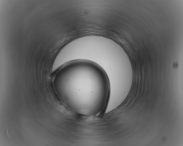 X0000091970621200709271408