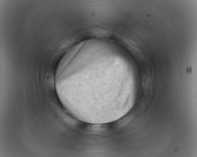 X0000091970622200709271408