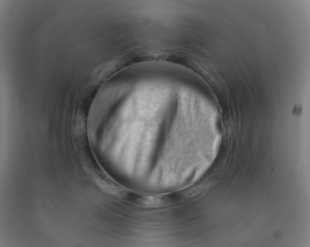 X0000091970623200709271408