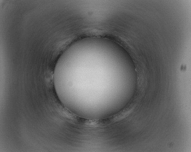 X0000091970624200709271408