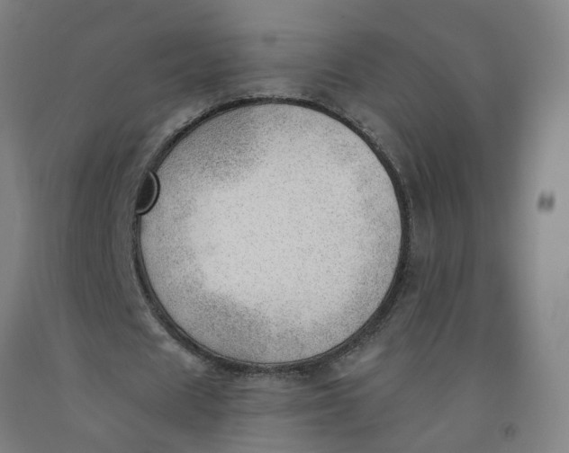 X0000091970625200709271407