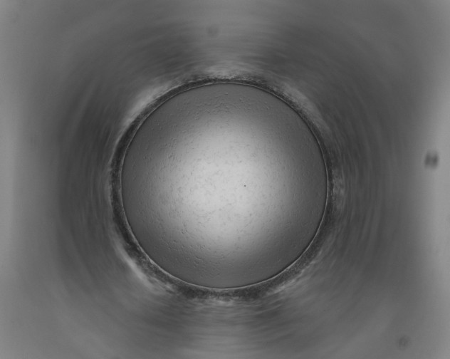 X0000091970626200709271407