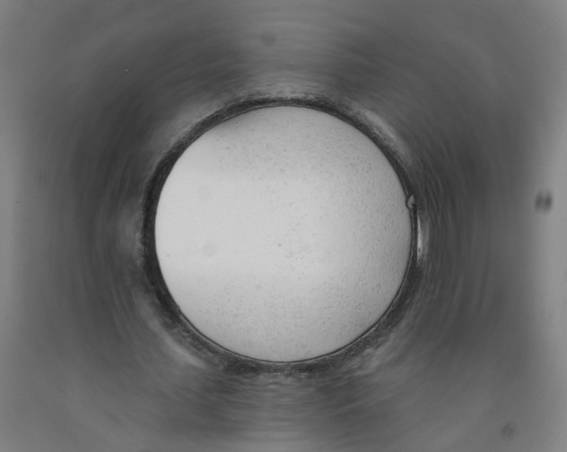 X0000091970627200709271407