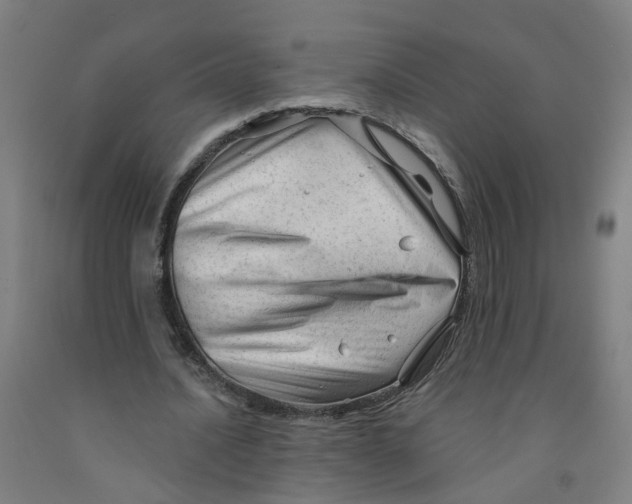 X0000091970628200709271407